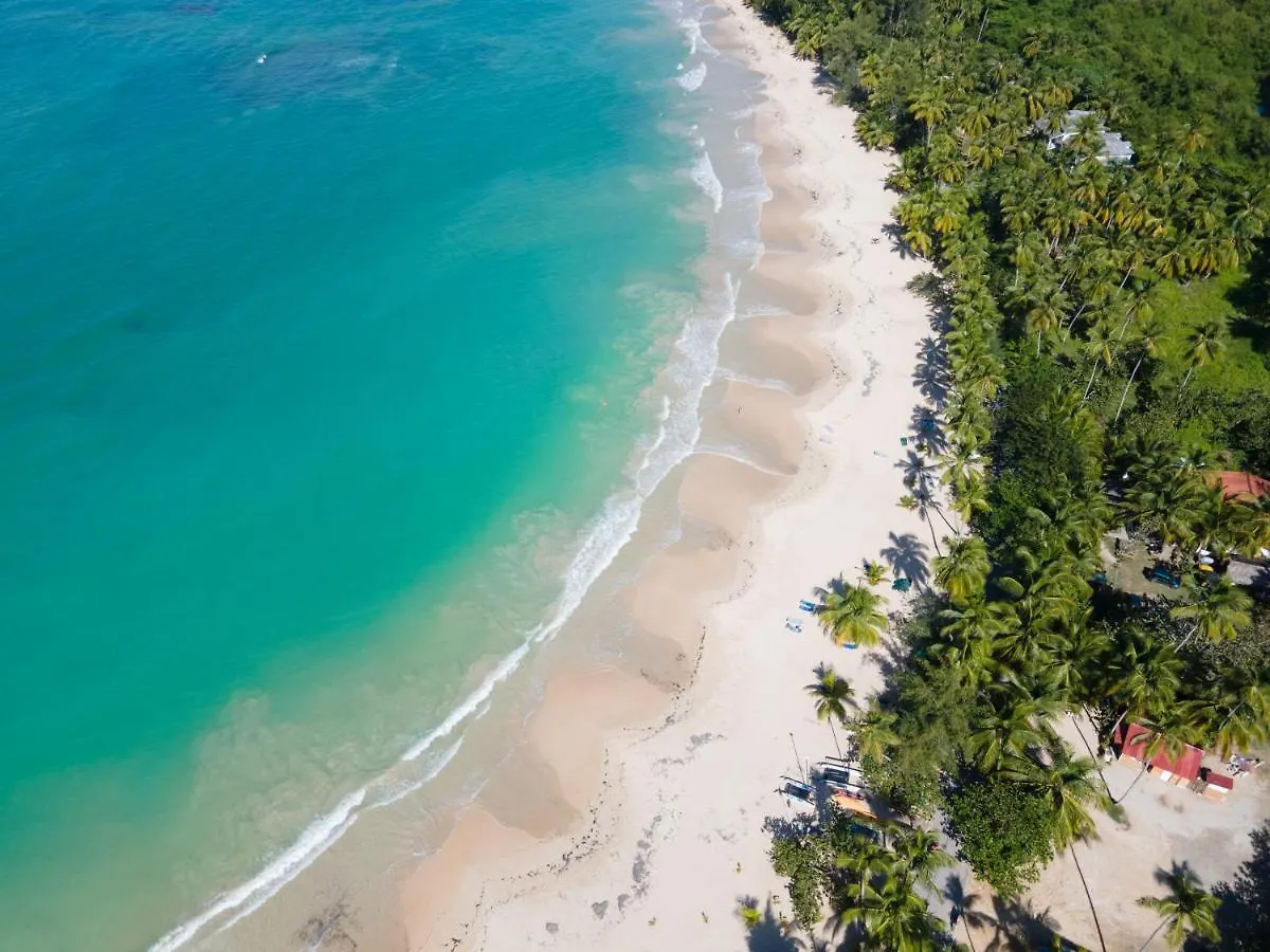 Chill Boutique Hotel Las Terrenas