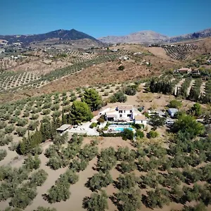 Bed & Breakfast Amorosa Villanueva de la Concepcion